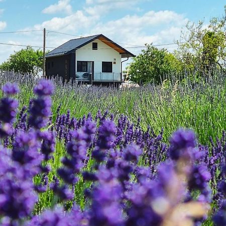 Vacation Home - Nest Kalnik المظهر الخارجي الصورة