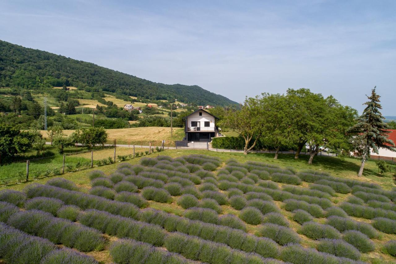 Vacation Home - Nest Kalnik المظهر الخارجي الصورة