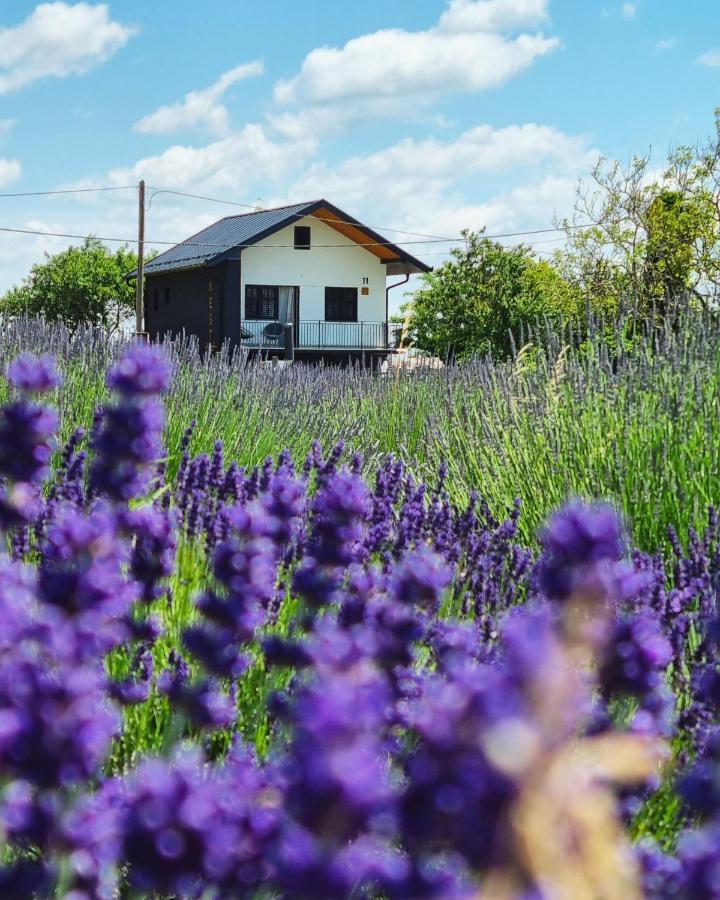 Vacation Home - Nest Kalnik المظهر الخارجي الصورة